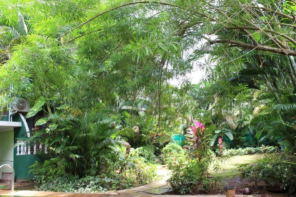 Villa Theresa Beach Resort Calangute Exterior foto